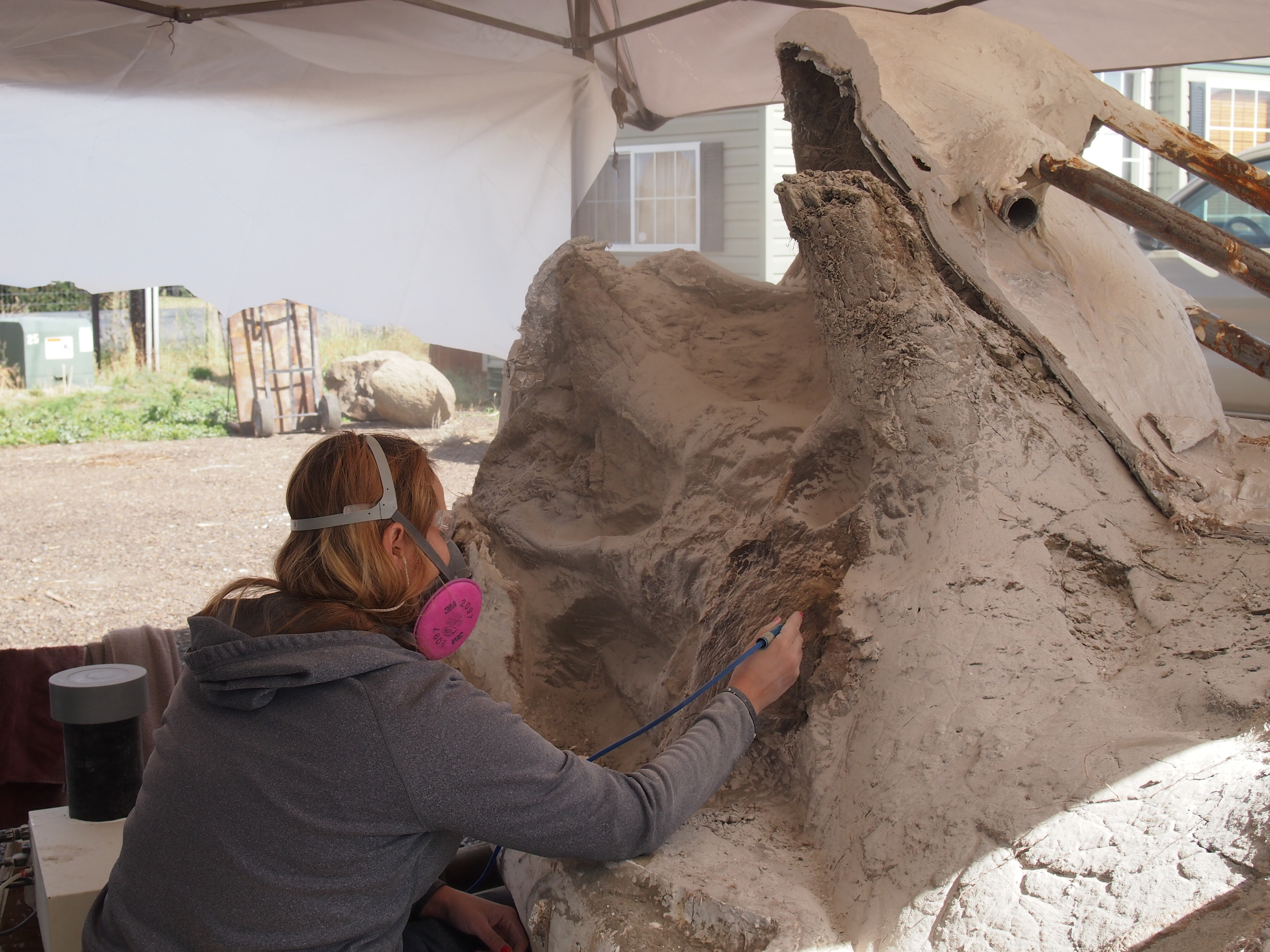 Back at the lab, the skull has been unloaded and now we are exposing the left side. Katie is using a microblaster with baking soda to remove the sand matrix.