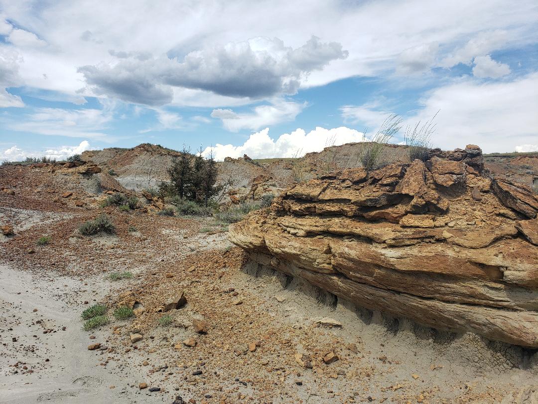 Montana Badlands Picture